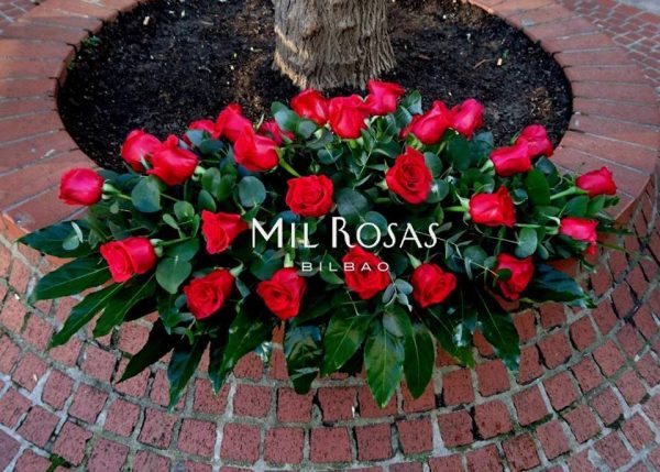 Floristería Rosas Bilbao Mil Rosas